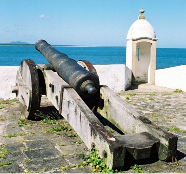 Ilha do Mel Nativo