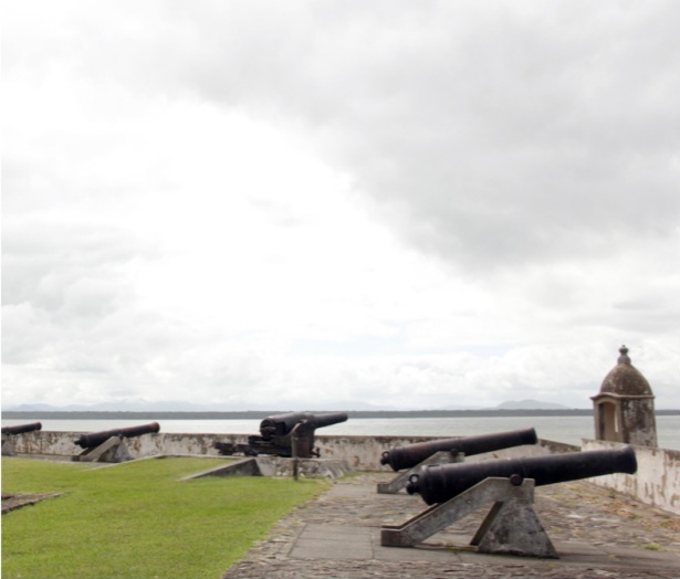 Ilha do Mel Nativo